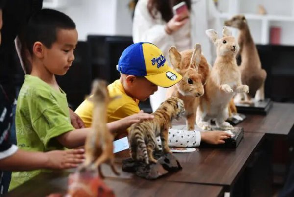 昔时五年，北京这七类城何如建？